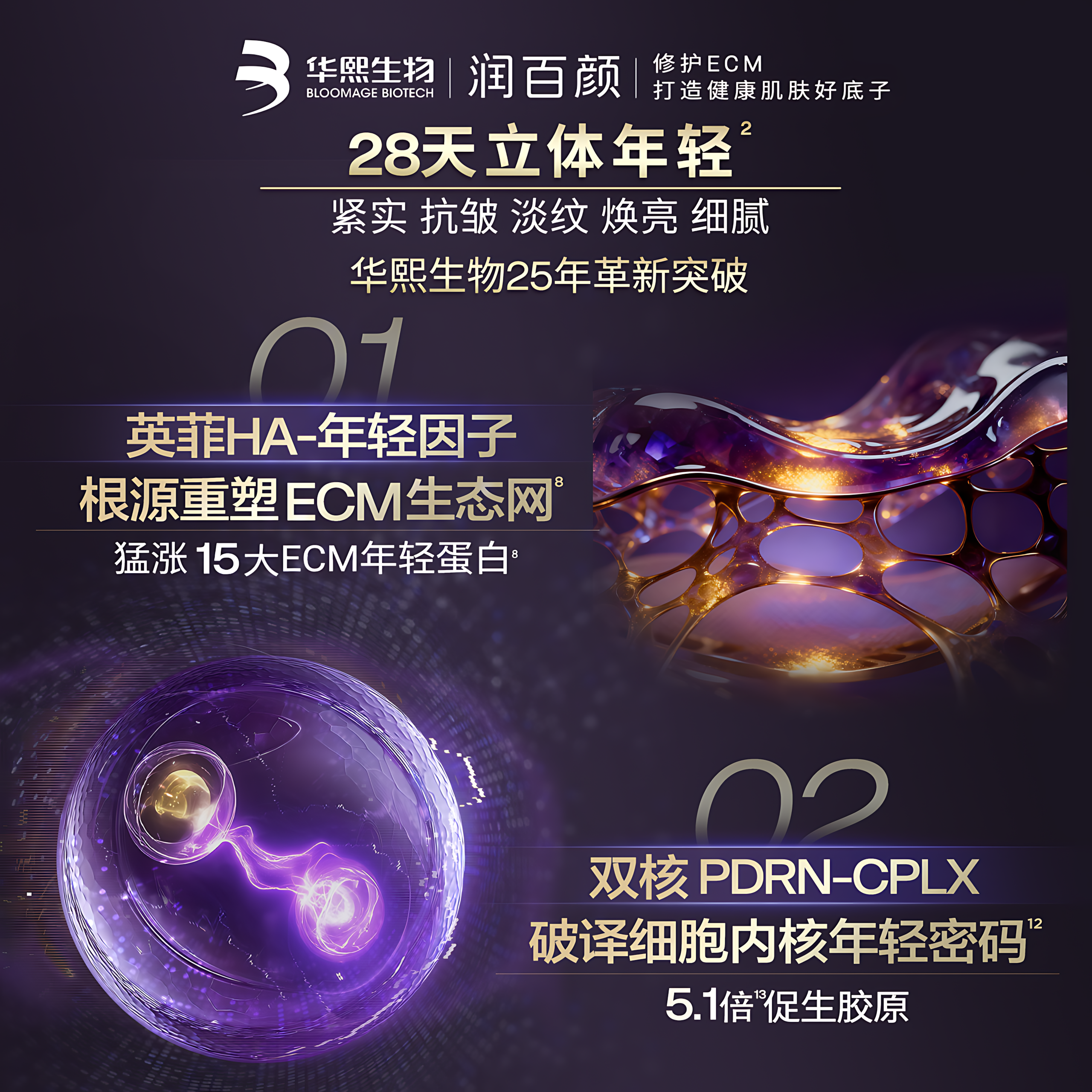 BIOHYALUX Elasticity Filler Anti-Wrinkle Essence Cream 2.0 17g/50g 润百颜紧致充盈淡纹精华面霜2.0