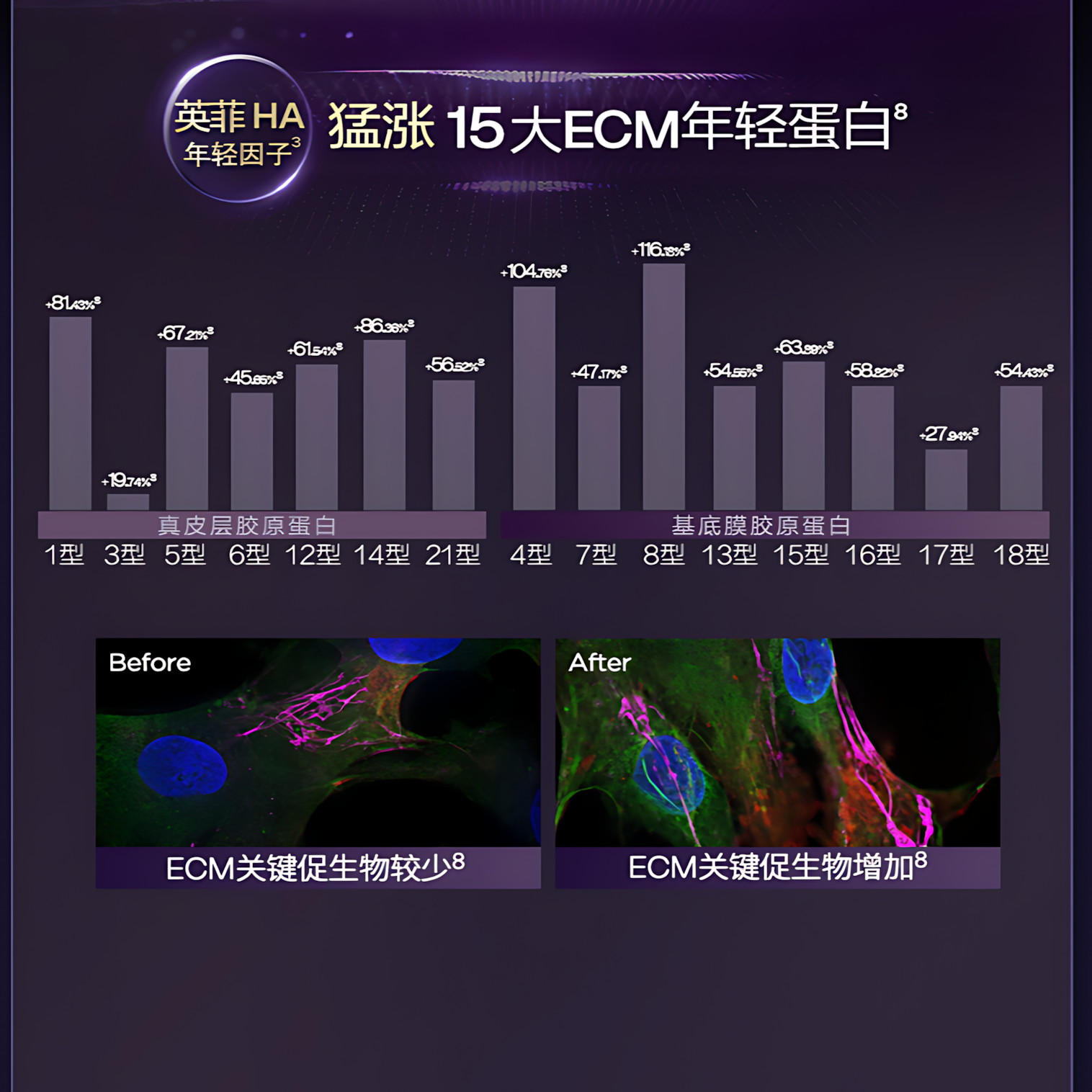 BIOHYALUX Elasticity Filler Anti-Wrinkle Essence Cream 2.0 17g/50g 润百颜紧致充盈淡纹精华面霜2.0