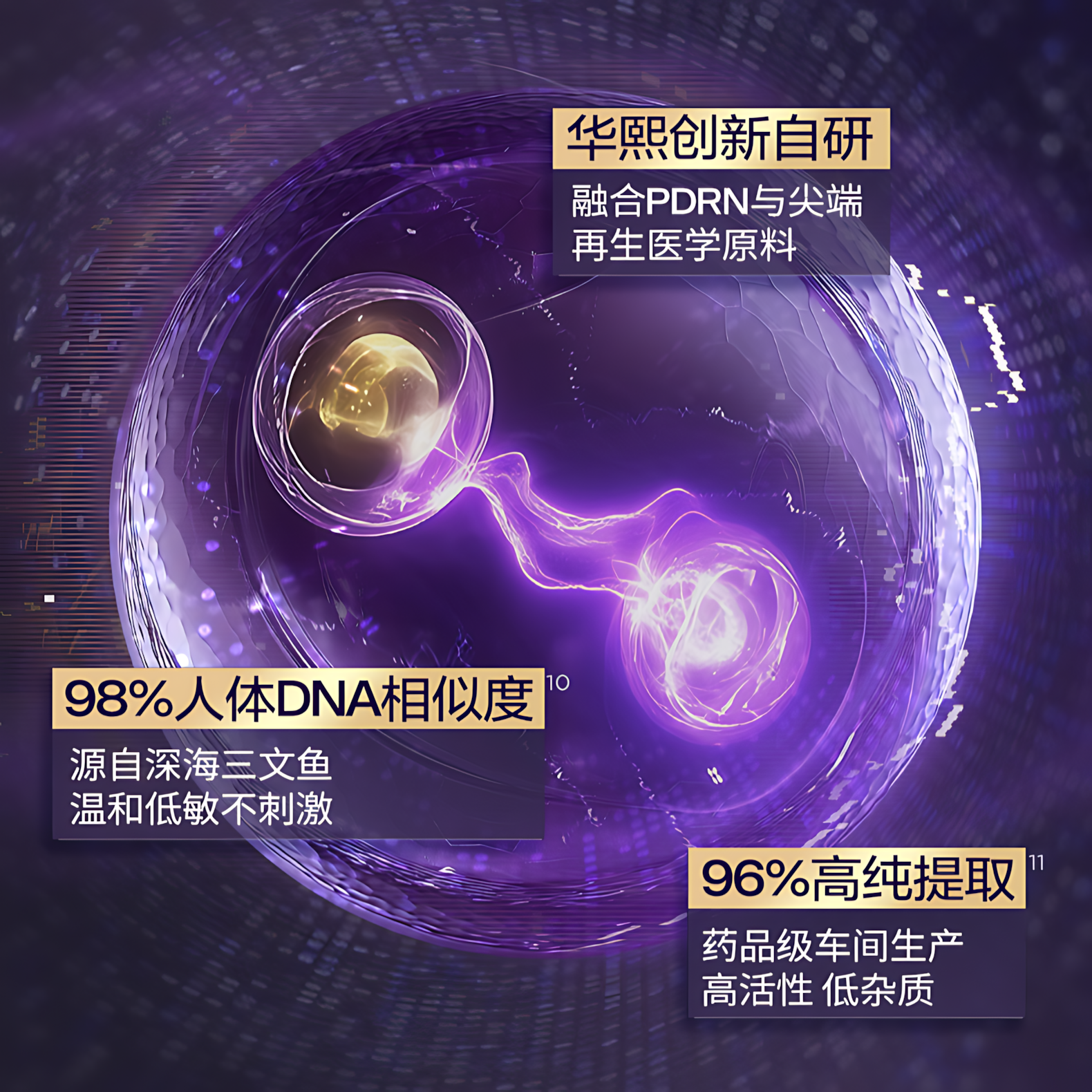 BIOHYALUX Elasticity Filler Anti-Wrinkle Essence Cream 2.0 17g/50g 润百颜紧致充盈淡纹精华面霜2.0