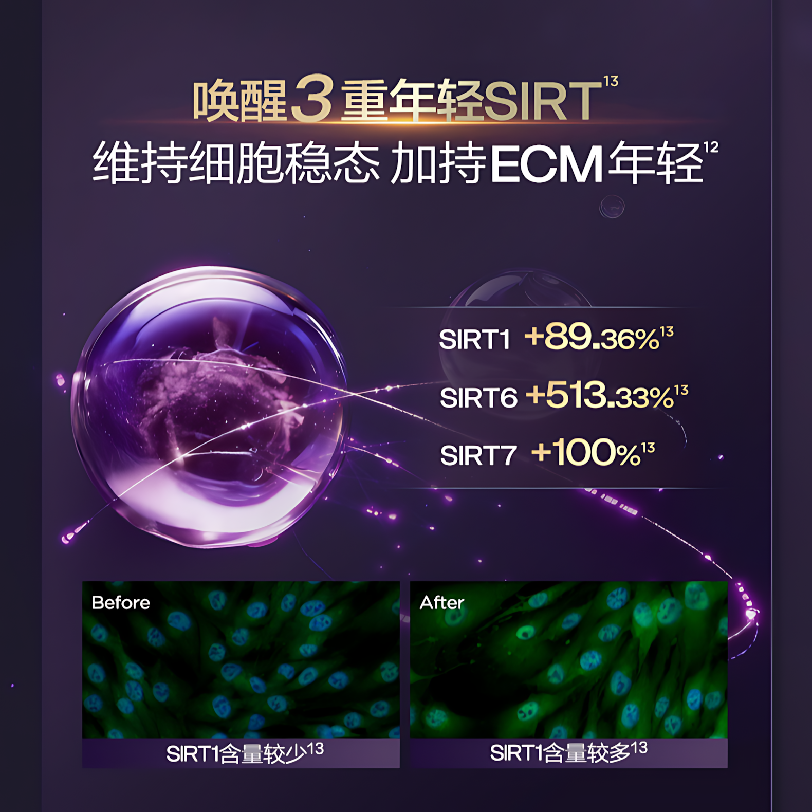 BIOHYALUX Elasticity Filler Anti-Wrinkle Essence Cream 2.0 17g/50g 润百颜紧致充盈淡纹精华面霜2.0