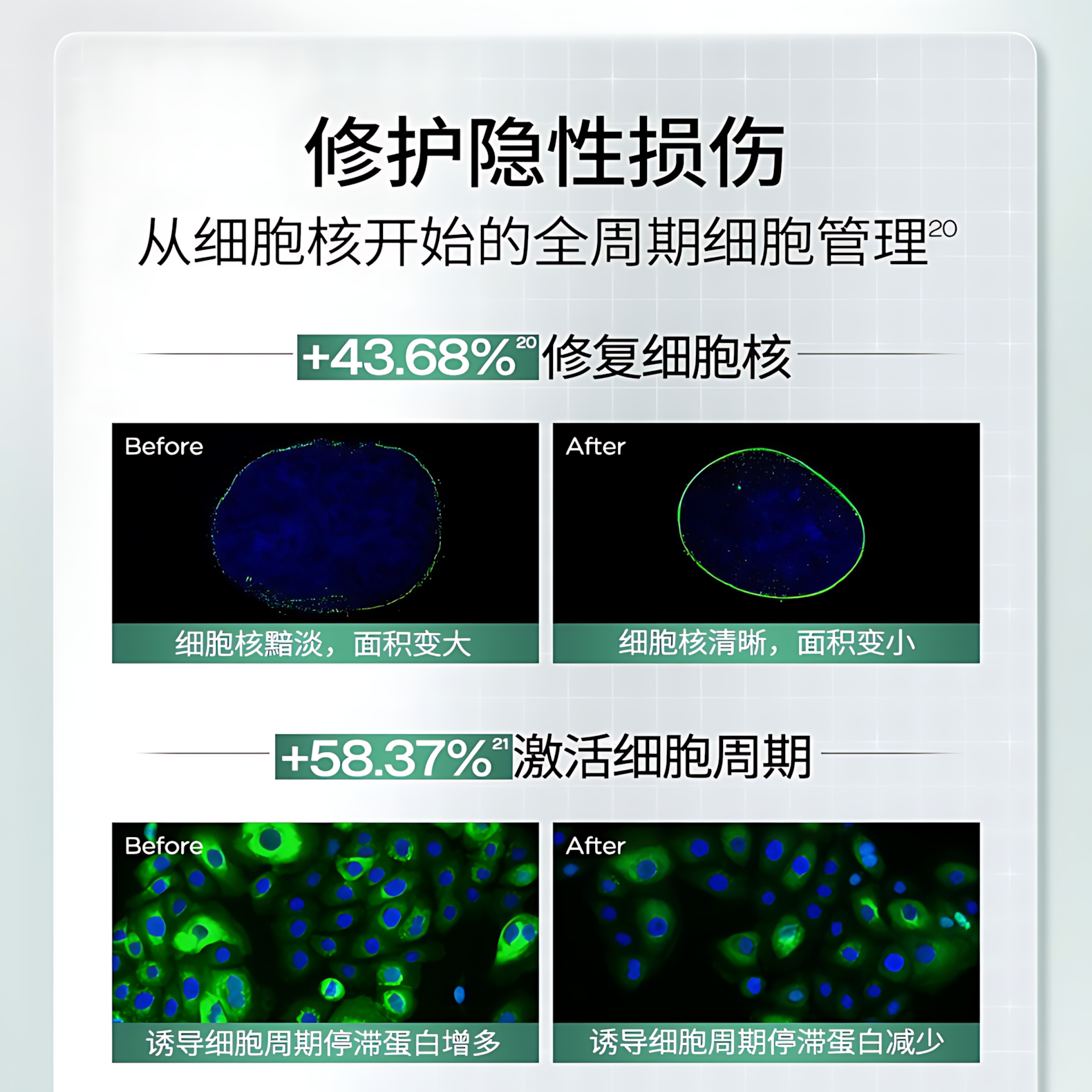 BIOHYALUX INFIHA Ominipotent Repairing Single Use Essence 1.3ml*30pcs/box 润百颜INFIHA全能次抛修护精华液