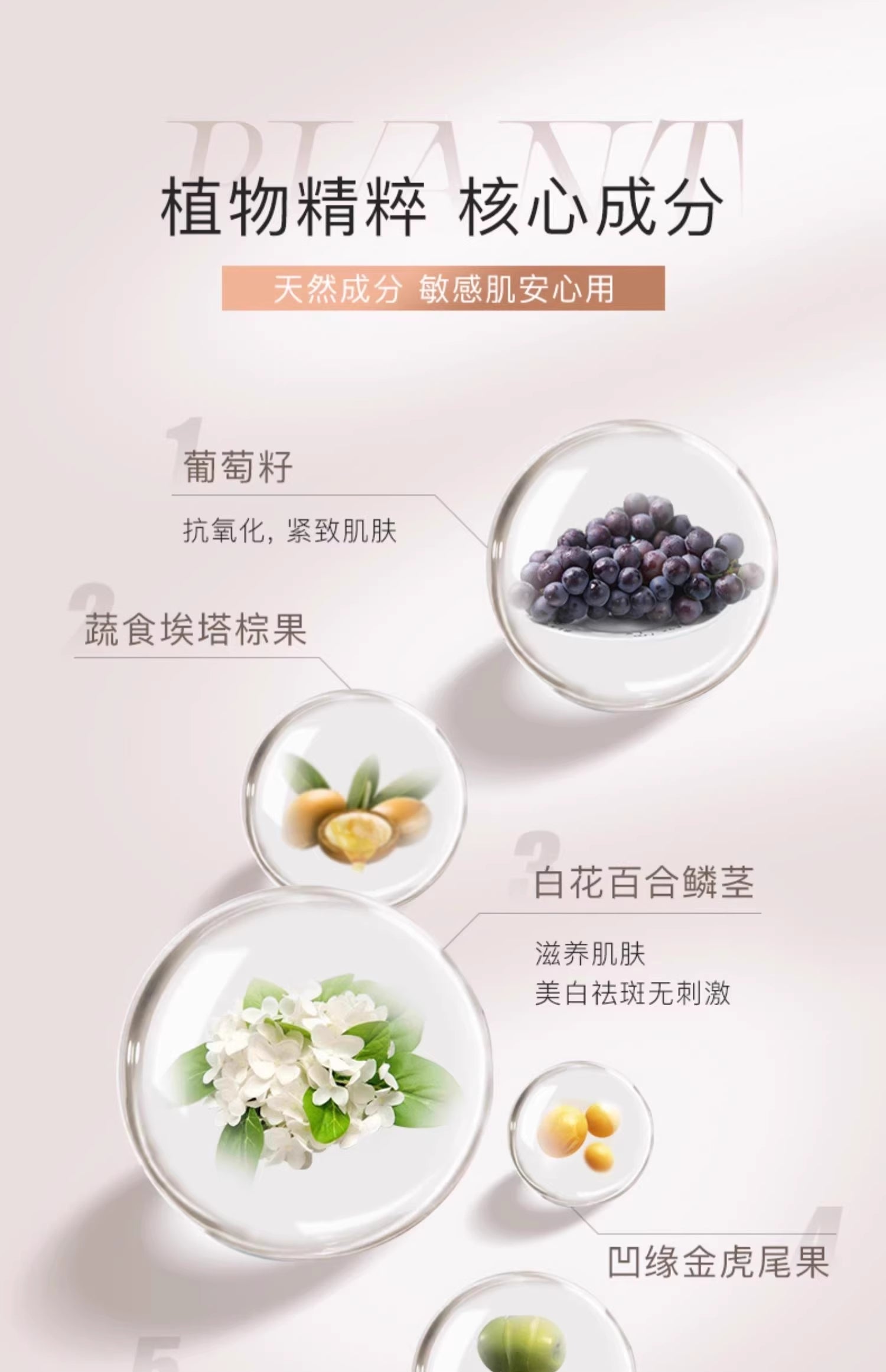 Babrea Water-feel Brightening Primer 40ml 芭贝拉水感焕亮隔离霜