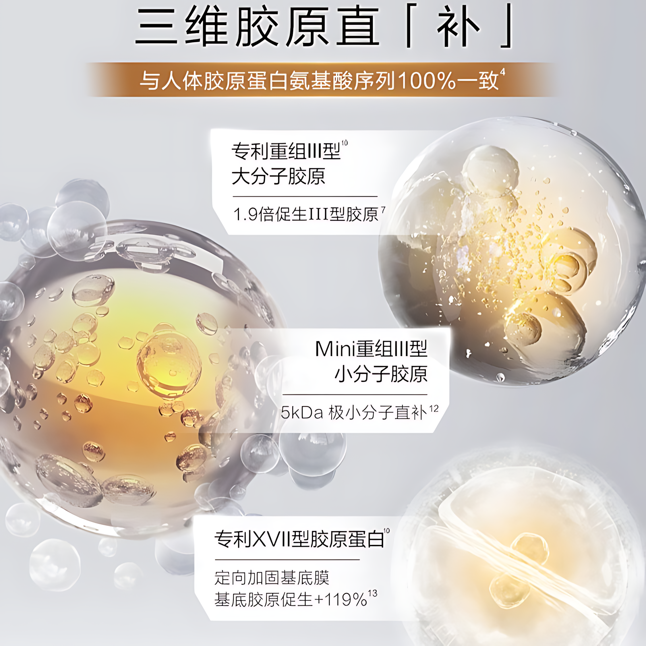 CHANDO Triple Collagen Full-Face Anti-Wrinkle Single-Use Ampoule 1.2ml*5pcs/30pcs 自然堂三重胶原全脸淡纹次抛精华液