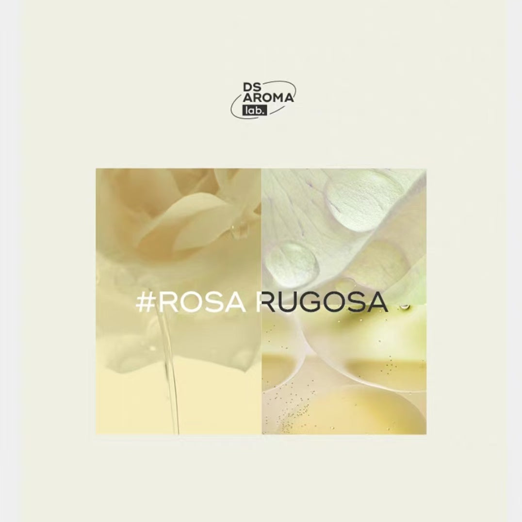 DAISY SKY White Rose Hydrosol 318ml 雏菊的天空白玫瑰纯露