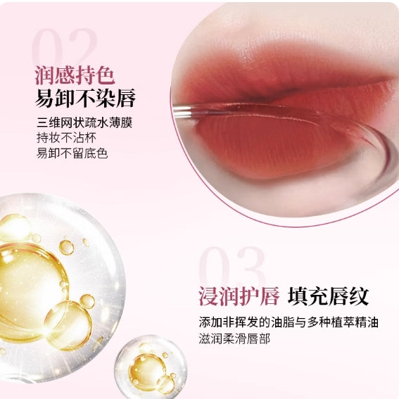 DEZONE Misty Water Lip Gloss 2.9g 黛庄氤氲水雾唇釉