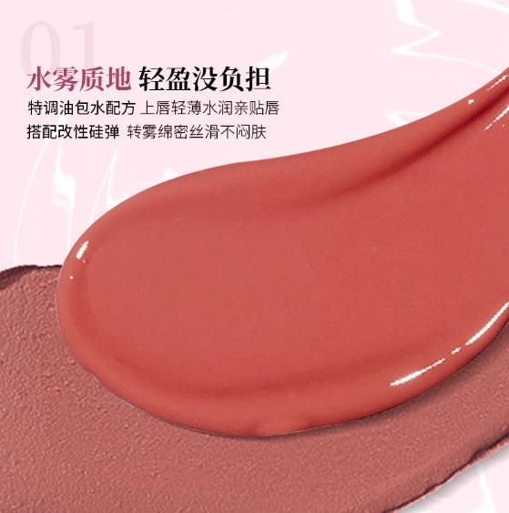 DEZONE Misty Water Lip Gloss 2.9g 黛庄氤氲水雾唇釉
