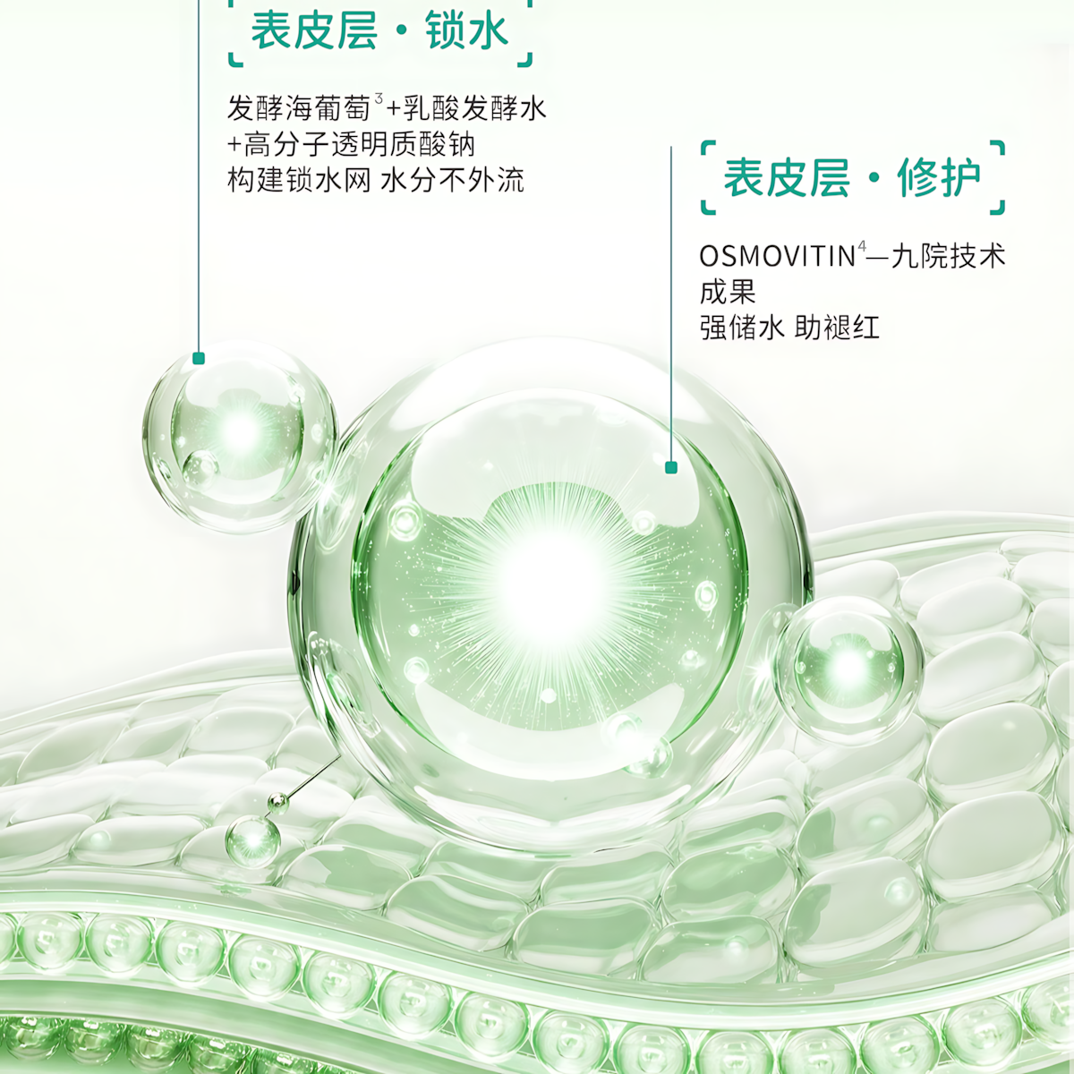 DR.DH Sea Grape Hydrating Glow Mask 3.0 28ml*5pcs/box 达肤妍海葡萄盈润水光面膜3.0