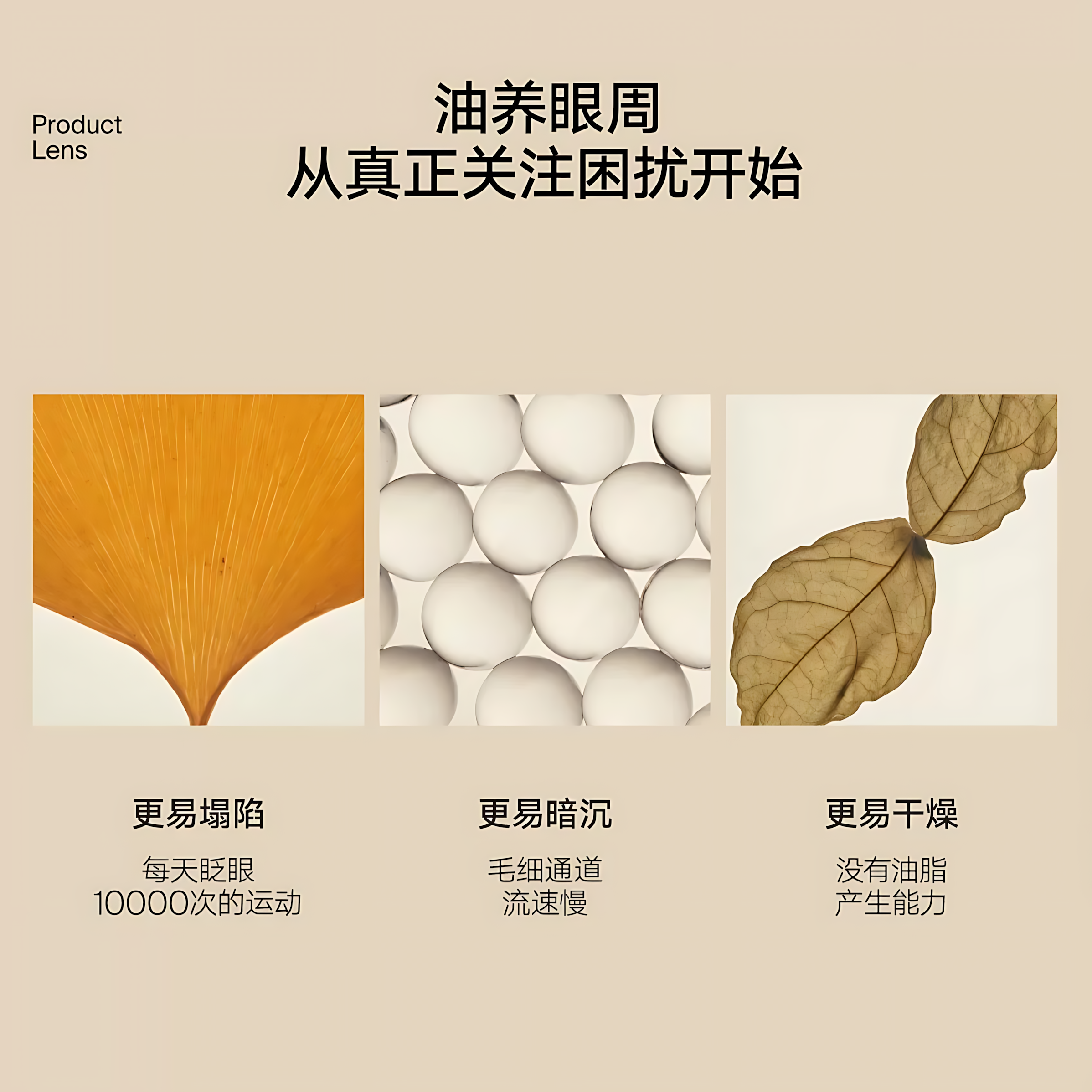 Tiktok/Douyin Hot Daisy Sky Amber Time Eye Elixir 2ml/8ml/12ml【Tiktok抖音爆款】雏菊的天空琥珀时光眼部精华油