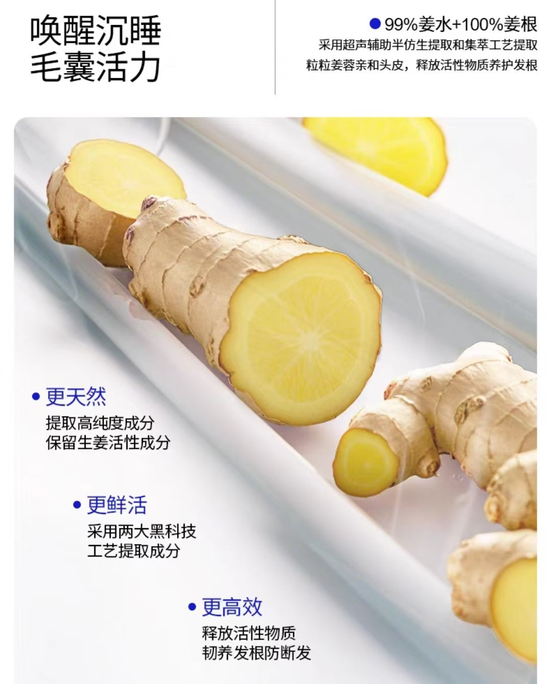 EHD Ginger Repair Strong Shampoo 500ml EHD生姜修护强韧洗发水