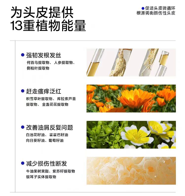 EHD Thirteen Plant Based Scalp Care Fluids 50ml*6pcs EHD十三重植萃头皮养护液