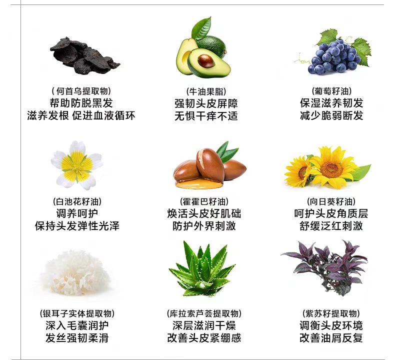 EHD Thirteen Plant Based Scalp Care Fluids 50ml*6pcs EHD十三重植萃头皮养护液