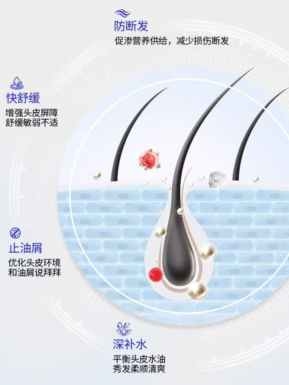 EHD Thirteen Plant Based Scalp Care Fluids 50ml*6pcs EHD十三重植萃头皮养护液