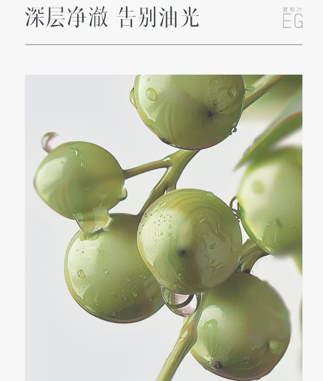 ELL Eucalyptus Salicylic Acid Oil Control Acne Cleansing Foam 100g ELL蓝桉叶水杨酸控油净痘洁面乳