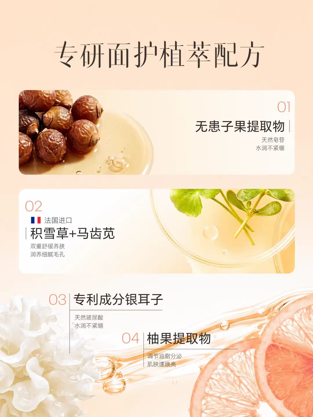 ELL Grapefruit Amino Acid Purifying Cleansing Mud 100g ELL西柚氨基酸净肤洁面泥