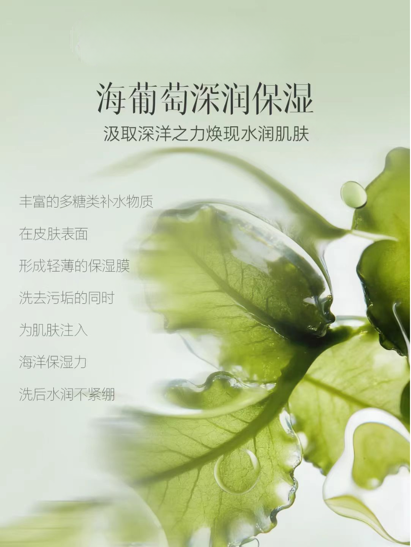 ELL Sea Grape Amino Acid Mild Cleansing Milk 100g ELL海葡萄氨基酸温和净润洁面乳