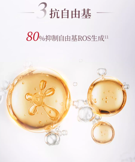 Forest Cabin Camellia Active Anti-Wrinkle Essence Lotion 2.0 200ml 林清轩红山茶焕活淡纹精华水2.0