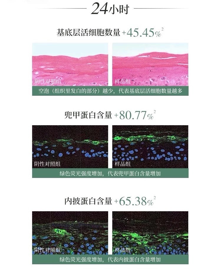 Forest Cabin Camellia Repair Barrier Single-Use Essence 1.5ml*5pcs/30pcs 林清轩山茶花修护屏障次抛精华液