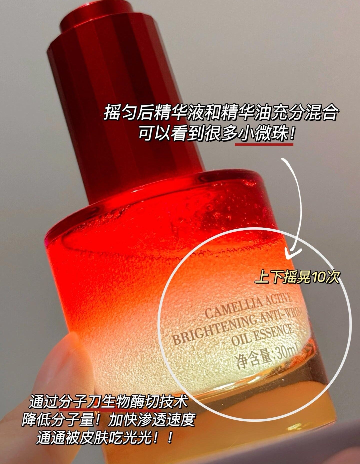 Forest Cabin Red Camellia Revitalizing Radiance & Wrinkle-Reducing Oil Essence 30ml 林清轩红山茶花焕活莹亮淡纹油液精华液