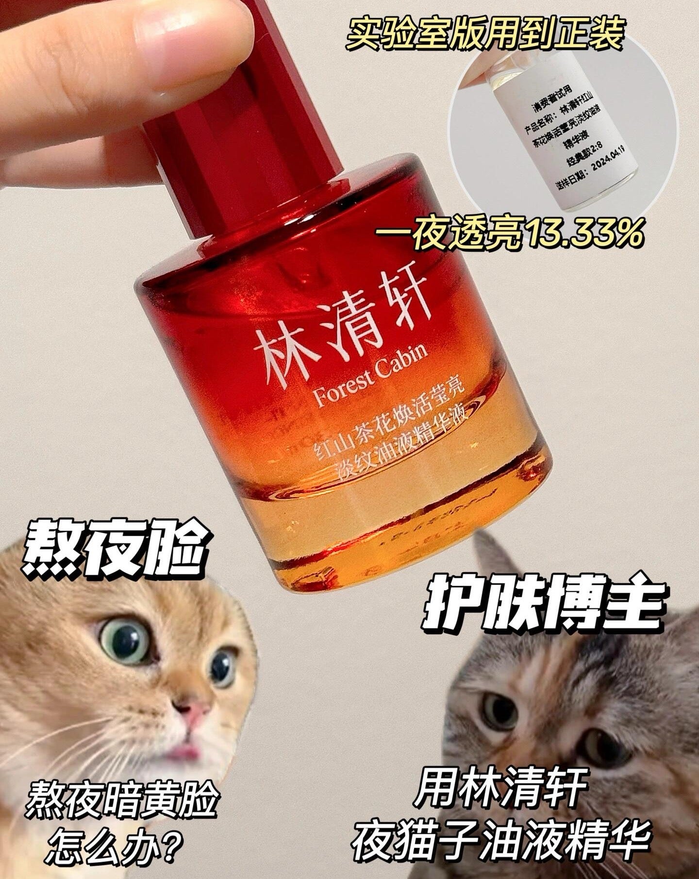 Forest Cabin Red Camellia Revitalizing Radiance & Wrinkle-Reducing Oil Essence 30ml 林清轩红山茶花焕活莹亮淡纹油液精华液