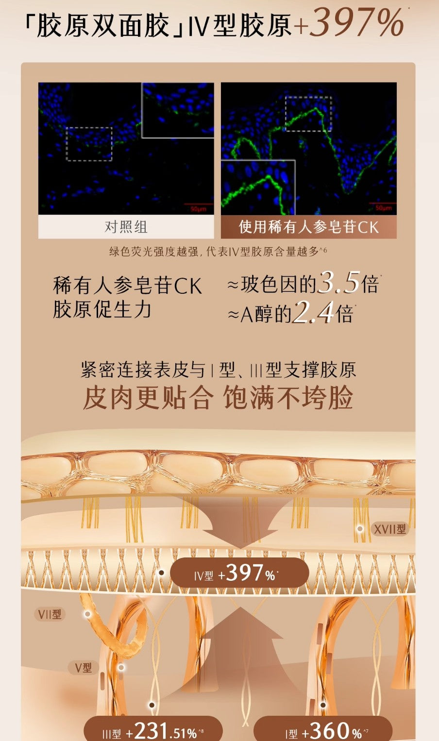 GUYU Mountain Ginseng Aurora Toner & Emulsion Set 120ml+100ml 谷雨山参极光水乳套装