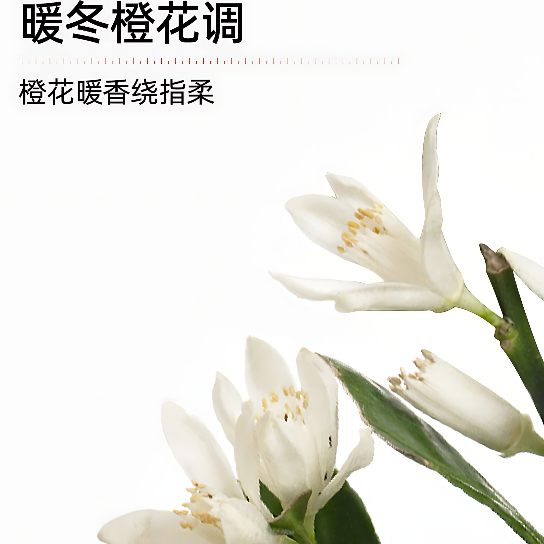 HUKO Moisturizing And Whitening Hand Cream 30g 乎刻水感美白手霜