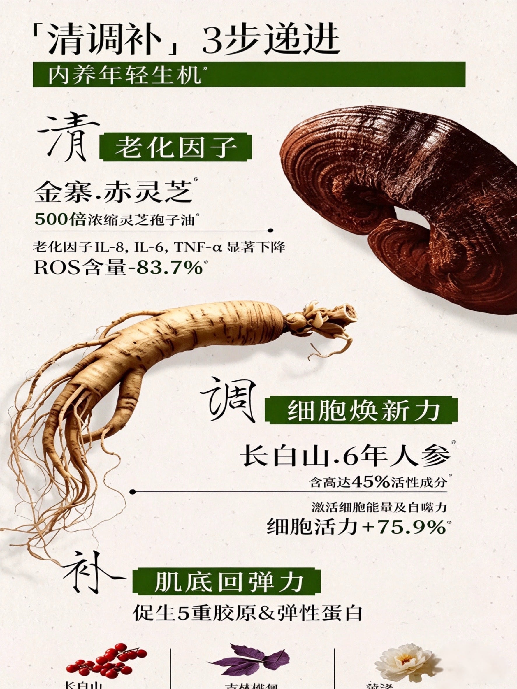 Herborist Repairing Five Elements Wrinkle-Reducing Essence Oil 5ml/30ml 佰草集修源五行淡纹精华油