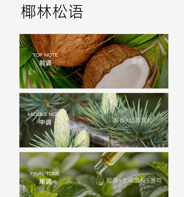 Tiktok/Douyin Hot IF Day Oral Probiotic Care Essential Oil 30ml【Tiktok抖音爆款】if day口腔益生菌护理精油