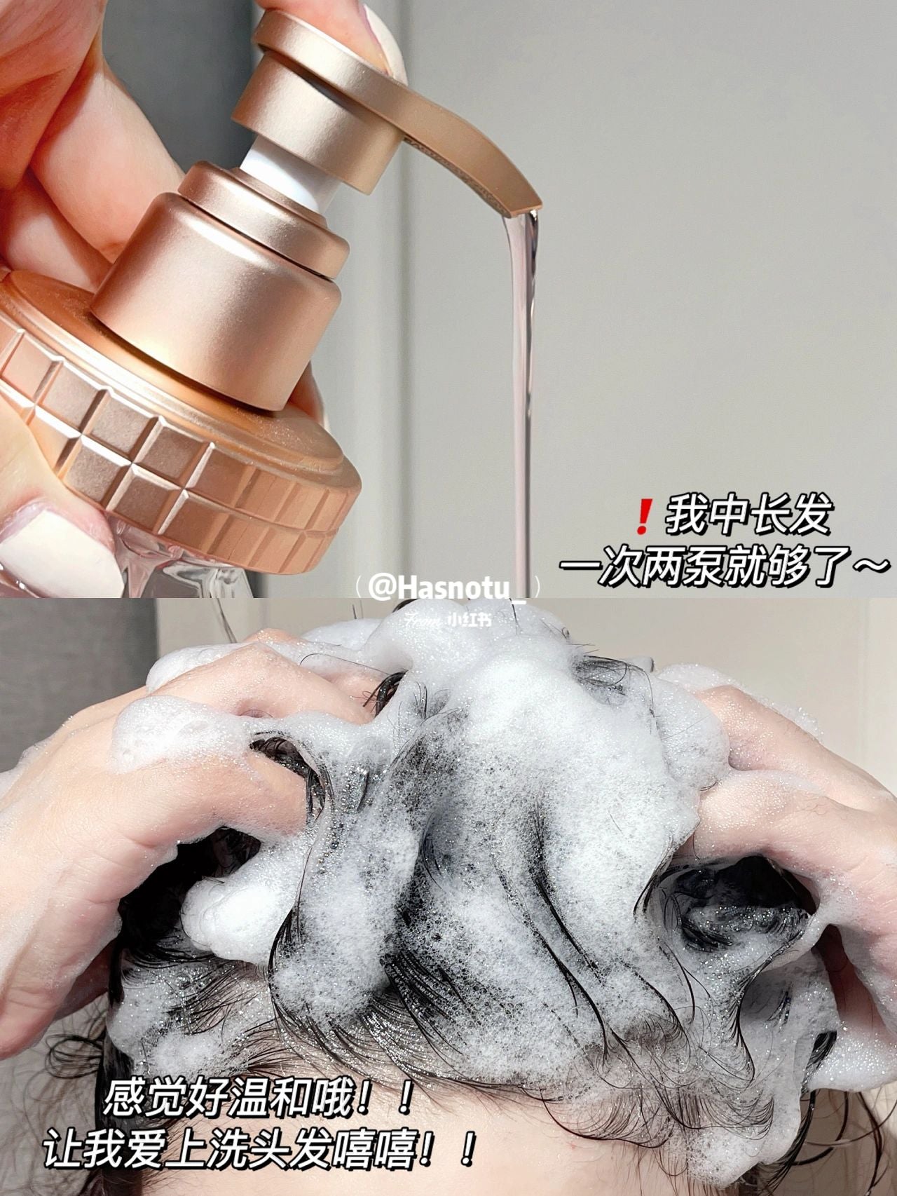 Japan &Honey Surplus Shine Repairing Conditioner&Shampoos 445g/440g 日本安蒂花子盈润光泽修复洗发水护发素