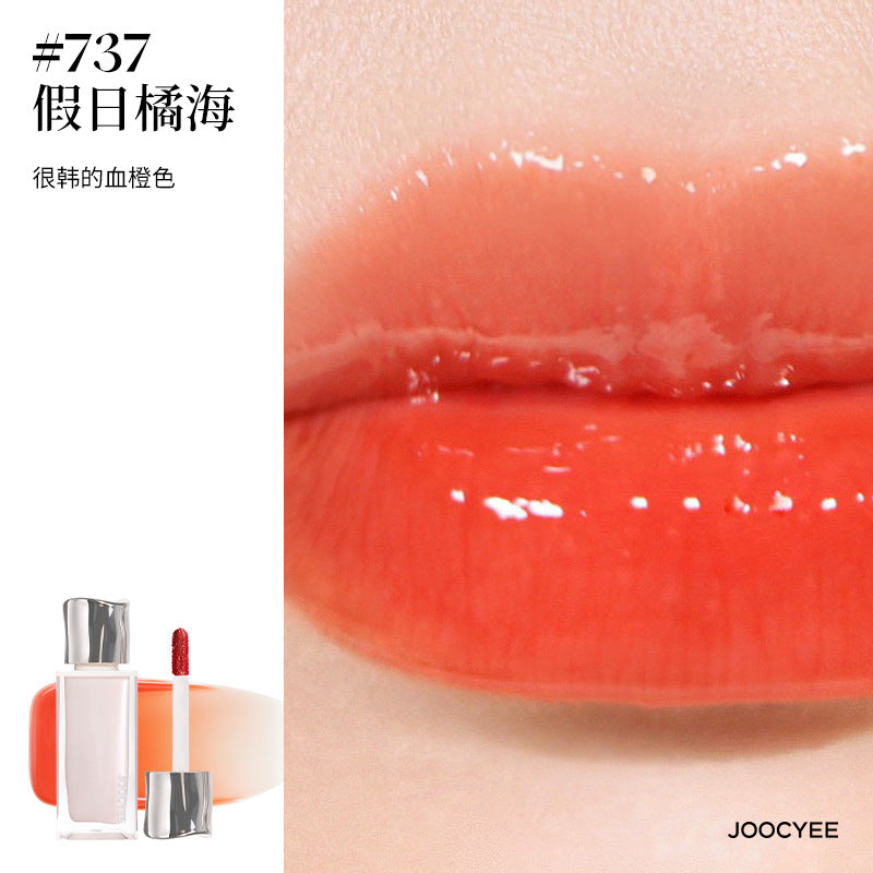 Joocyee Day Dreamer Series Lip Gloss 4g 酵色梦中人系列唇釉