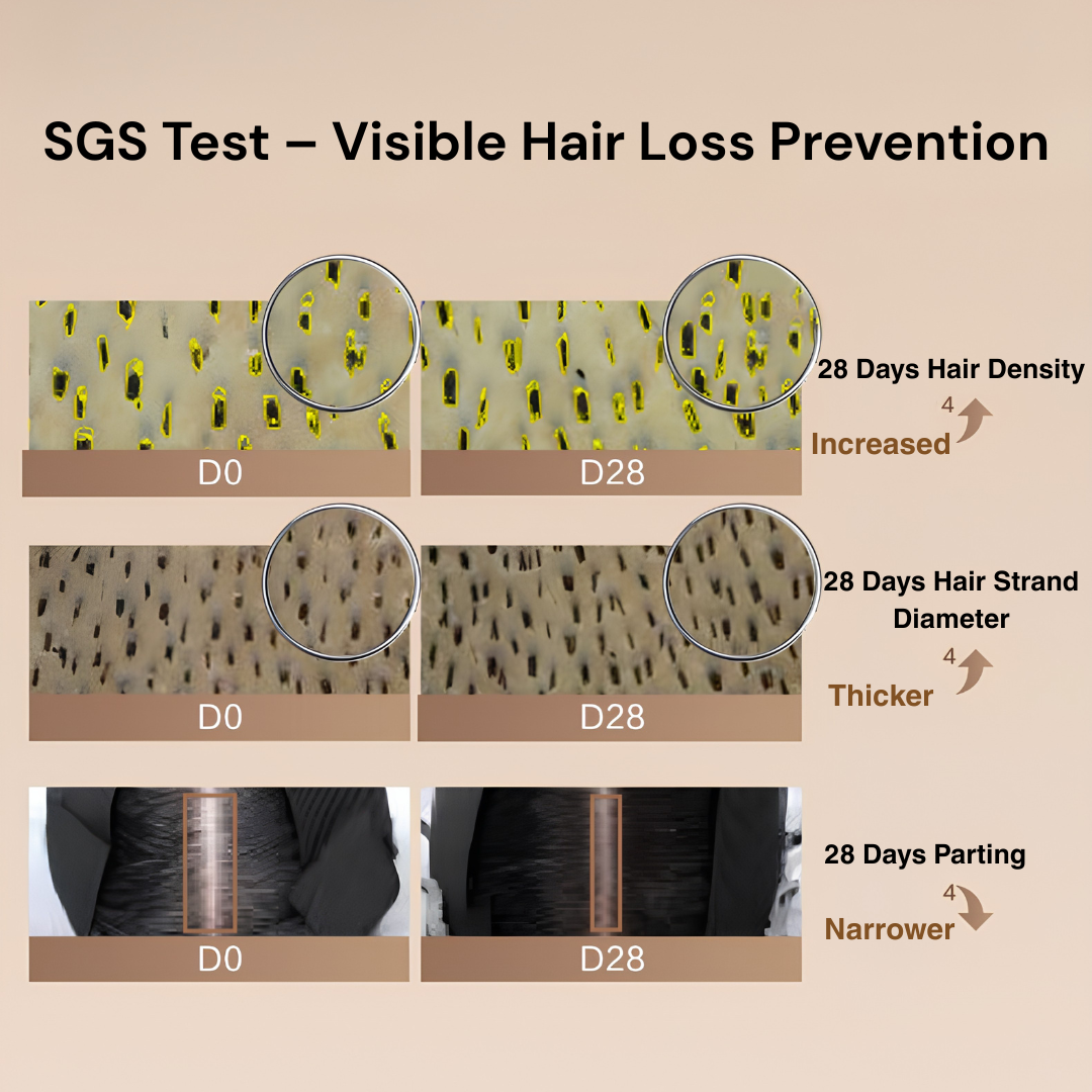 Kans Men's Anti-Hair Loss & Strengthening Shampoo 400g 韩束男士防脱固发修护洗发水