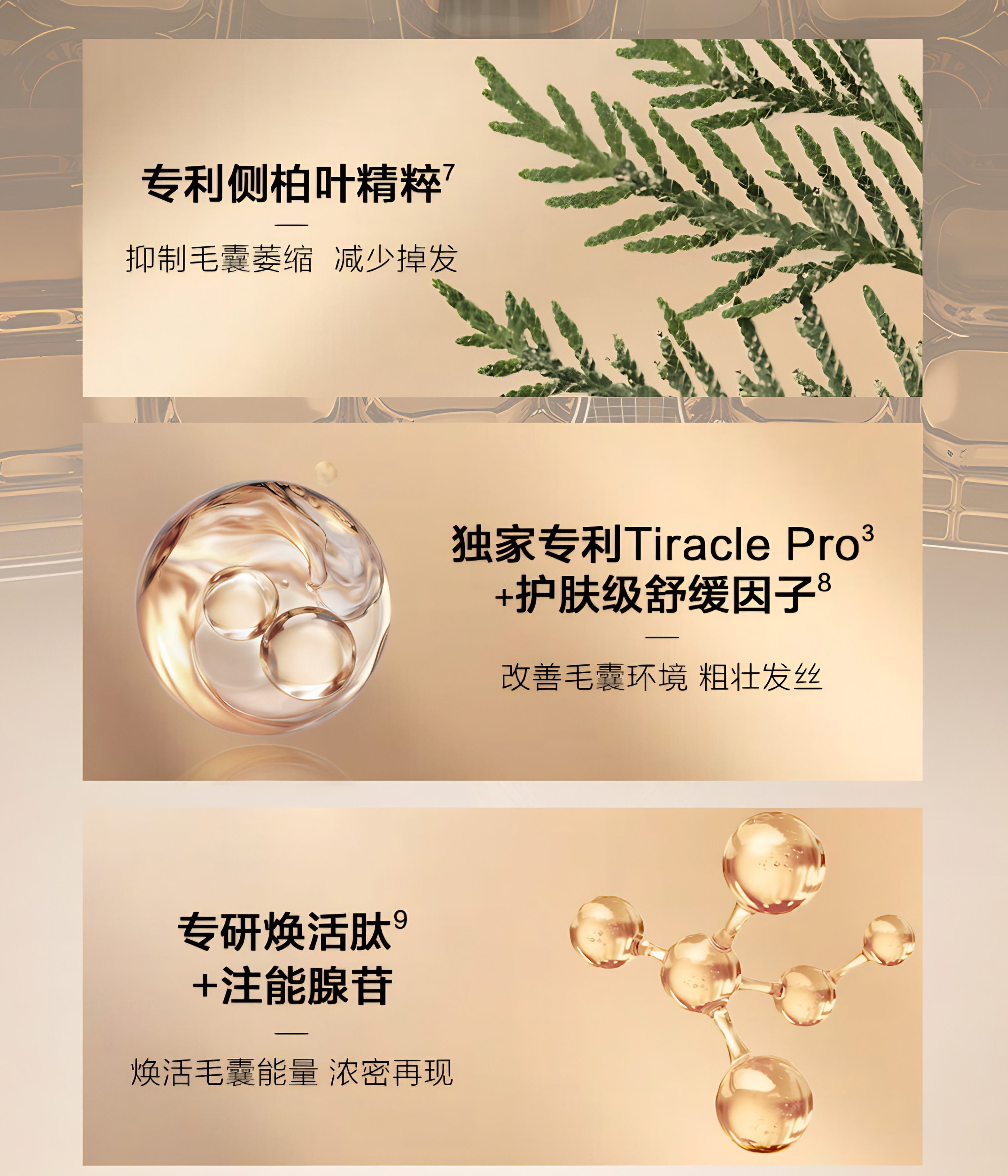 Kans Men's Anti-Hair Loss & Strengthening Shampoo 400g 韩束男士防脱固发修护洗发水