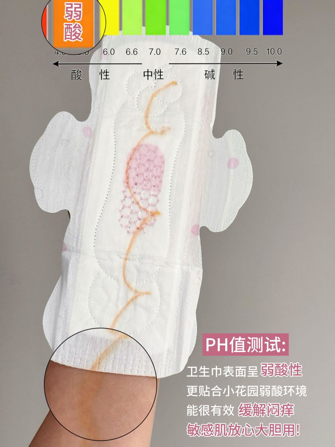 Kotex Cranberry Probiotic Series Sanitary Pads 240mm/280mm/420mm (Day&Night) 高洁丝蔓越莓益生菌系列日夜用卫生巾
