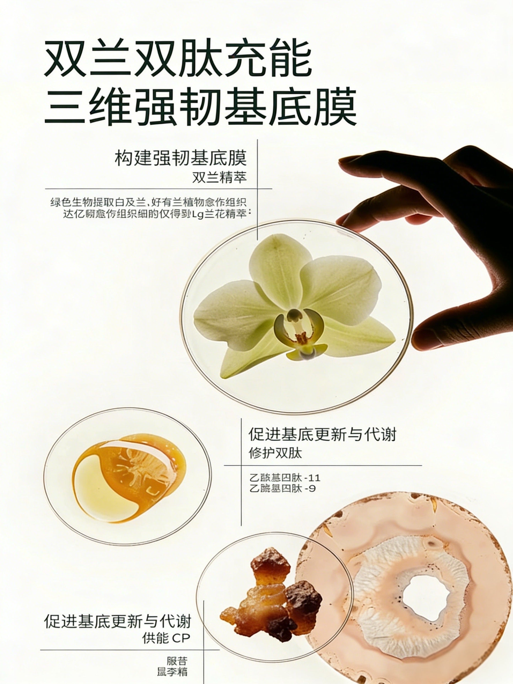 LAN Time Orchid Royal Beauty Essence 50ml 兰时光兰花御妍精华液