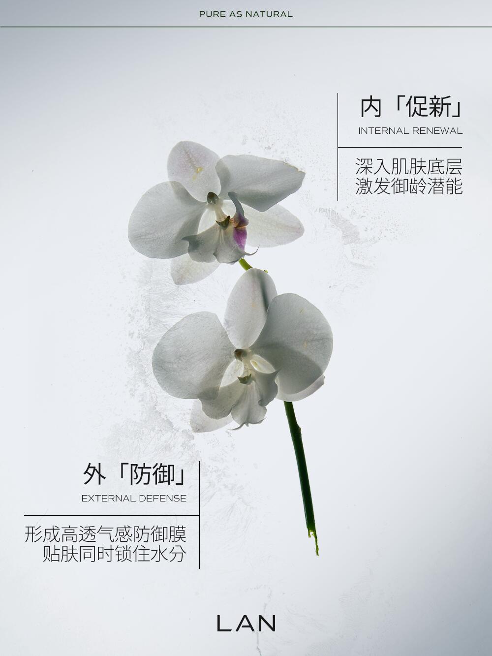 LAN Time Orchid Royal Resilience Essence Cream 5g/15g/50g 兰时光兰花御韧精萃霜