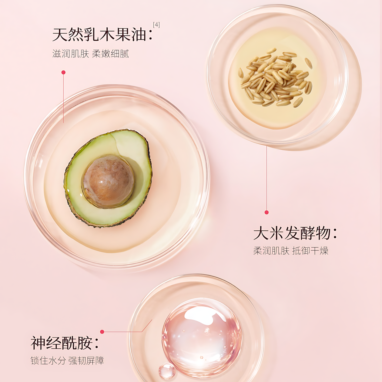 Little Dream Garden Niacinamide Body Lotion 250ml 半亩花田烟酰胺身体乳