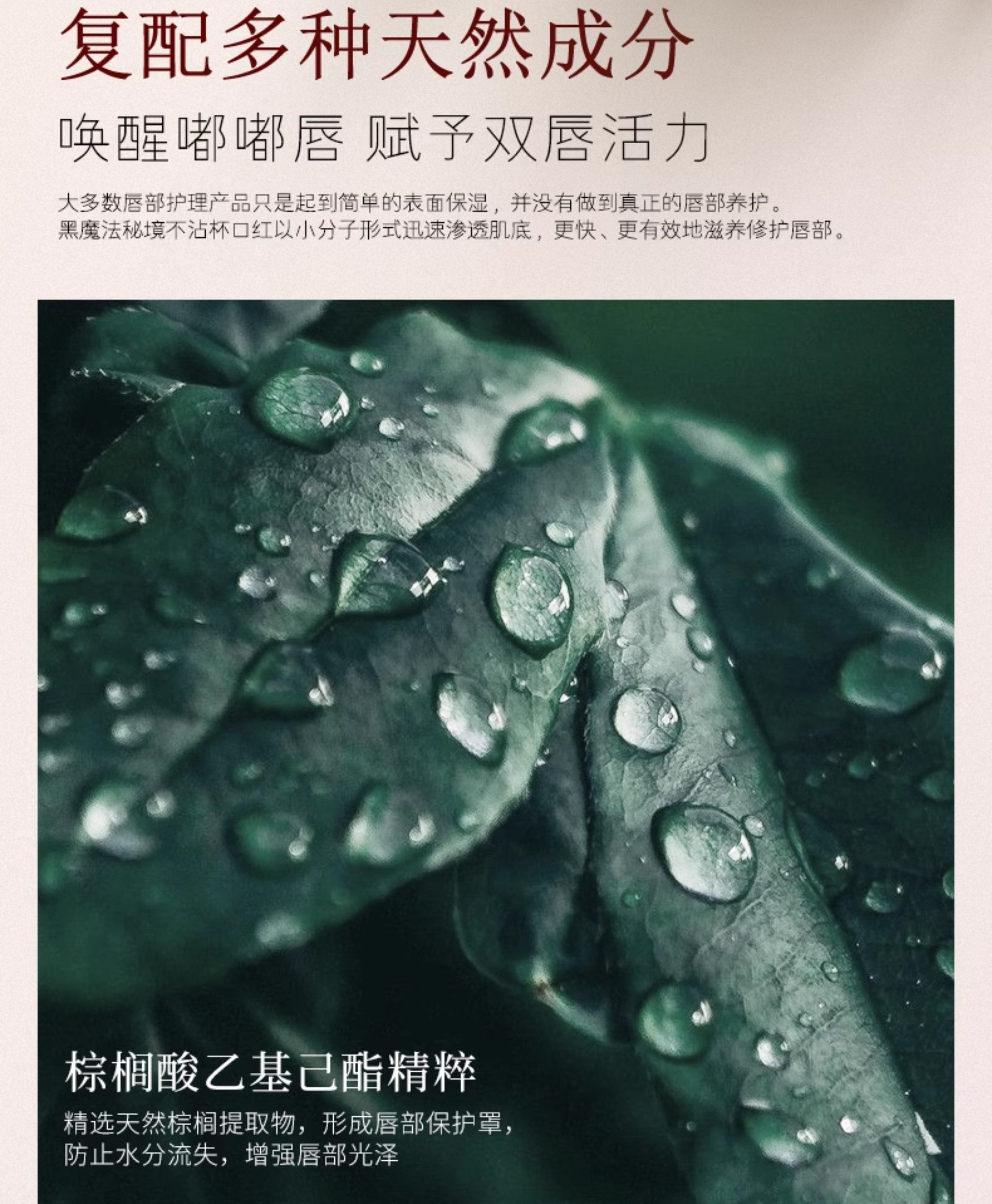 Tiktok/Douyin Hot Luona Noess Black Magic Secret Realm Non-Stain Lipstick 3.8g【Tiktok抖音爆款】罗娜女神黑魔法秘境不沾杯口红