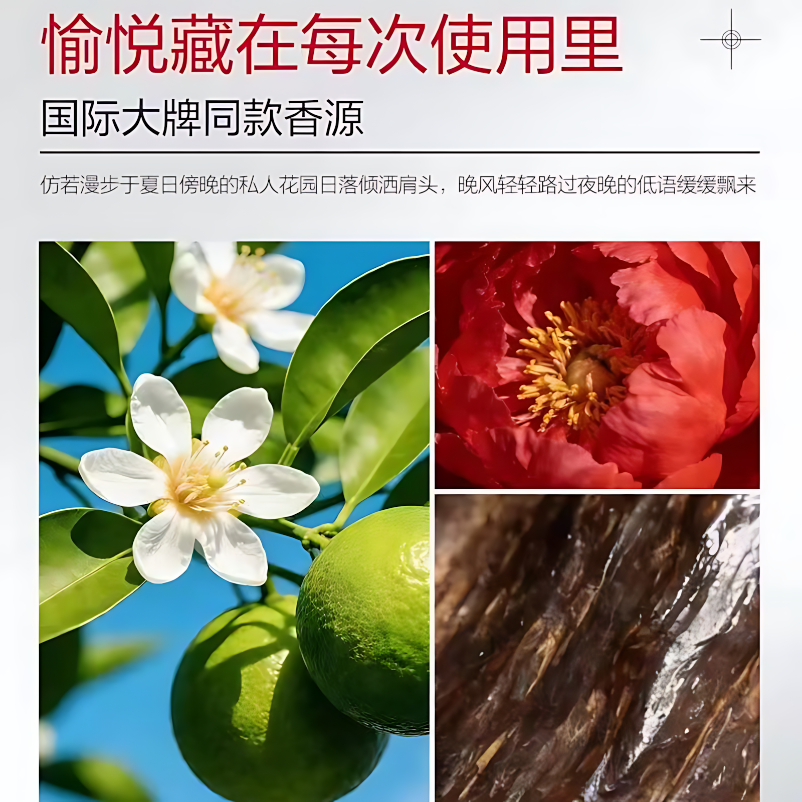 Marubi Chocolate Firming Smoothening Bedtime Mask 150g 丸美巧克力双抗紧致丝滑睡眠面膜