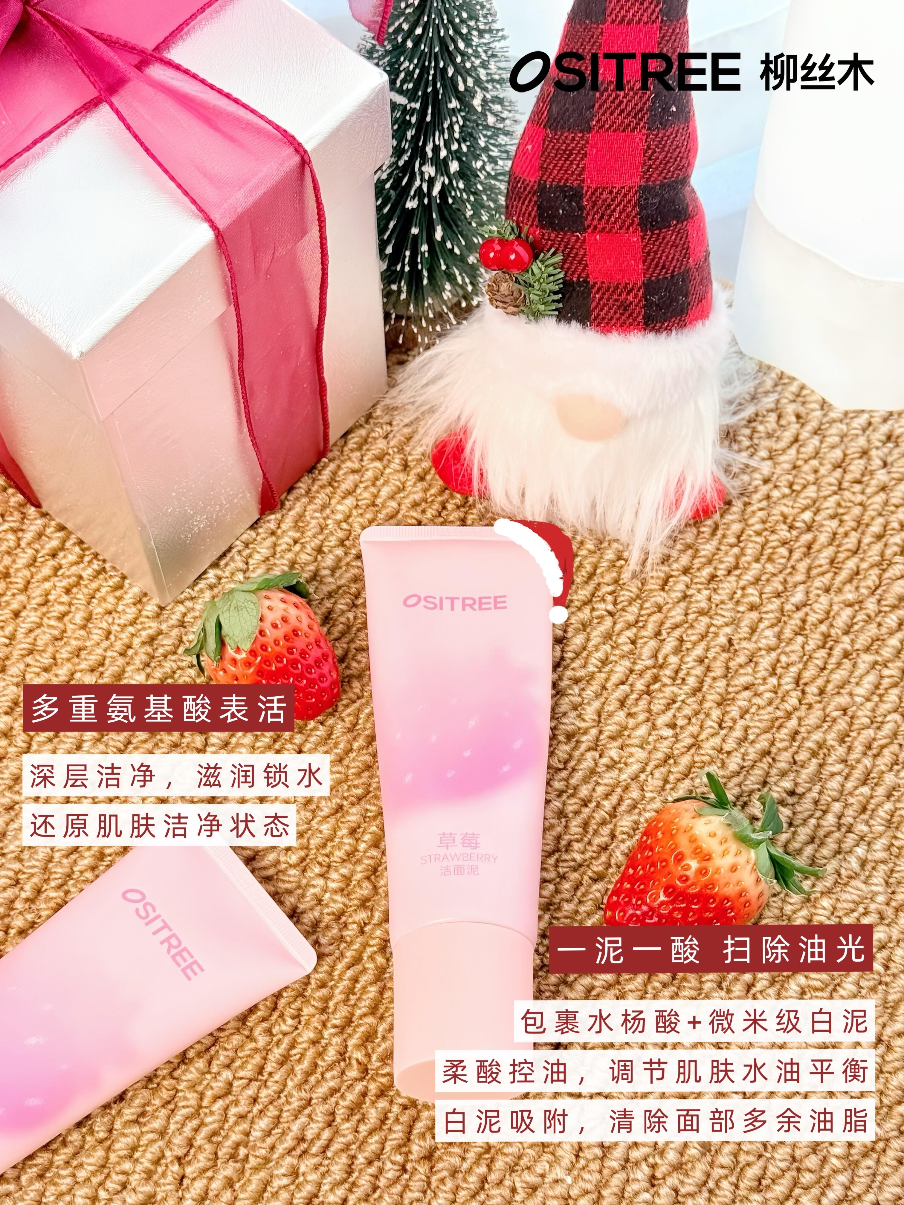 OSITREE Purifying & Softening Cleansing Mud 120g 柳丝木净颜嫩肤洁面泥