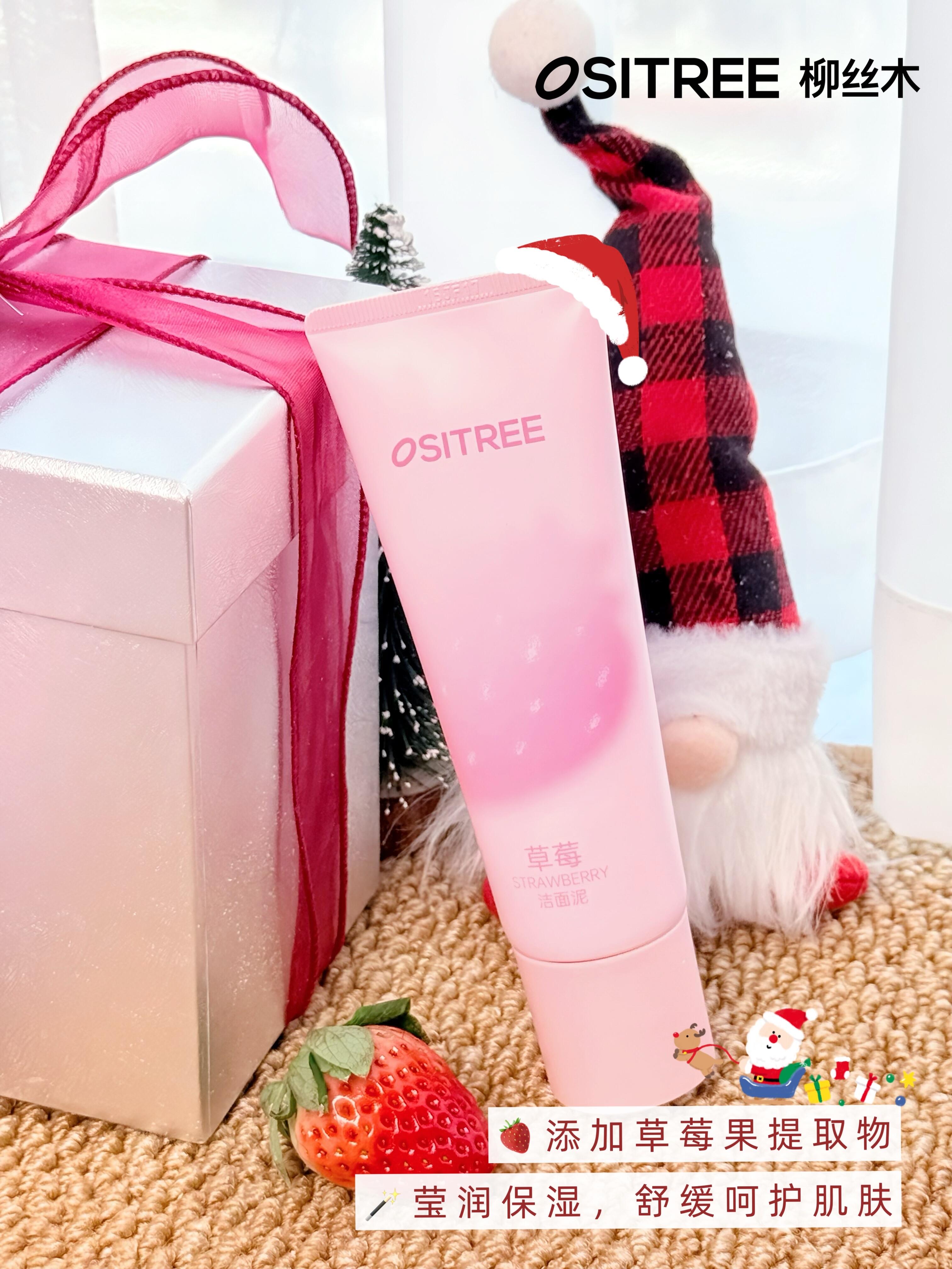 OSITREE Purifying & Softening Cleansing Mud 120g 柳丝木净颜嫩肤洁面泥