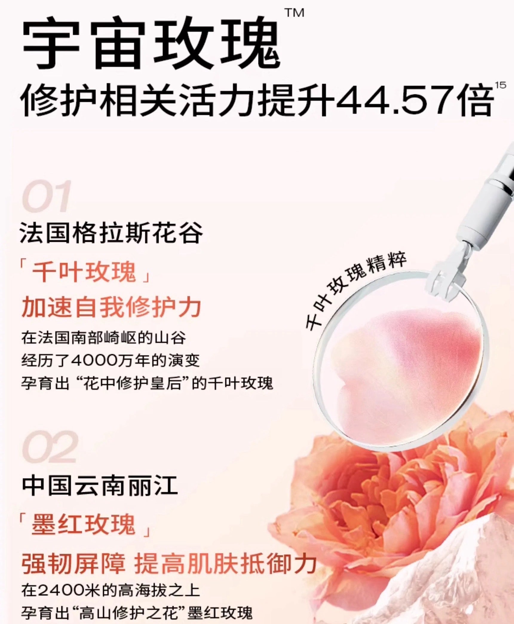 PMPM Rose Hyaluronic Acid Hydrating Glow Lip Essence Oil 2ml 偏偏玫瑰玻尿酸水光唇部精华油