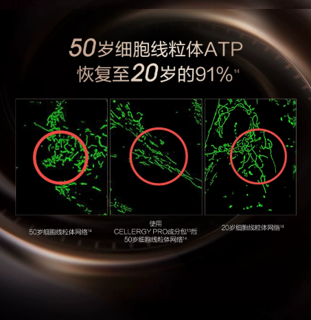 PROYA Inaugurating Intensive Firming Cream 2.0 15g 珀莱雅启时集致紧塑霜2.0