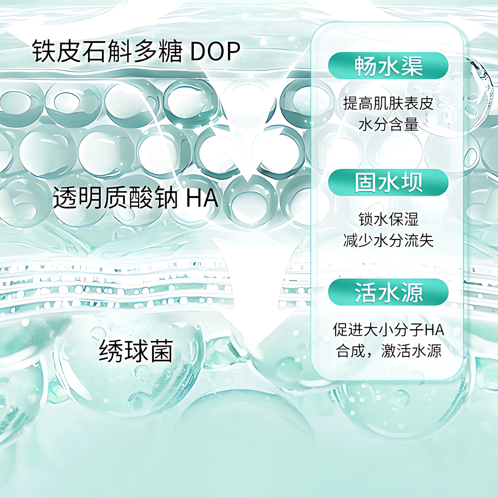 PURE&MILD Natural Power Concentrate Enriched Cleanser 2.0 100g 泊美新植物菁盈粹肌源恒润洁面乳2.0