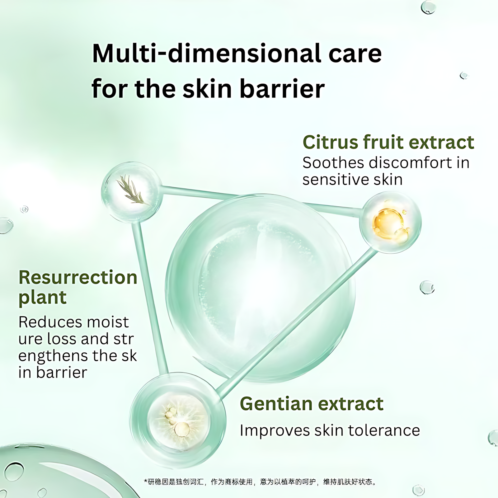 PURE&MILD Olive & Vitamin B5 Soothing Hydrating Essence Facial Mask 25ml*10pcs/box 泊美油橄榄维生素原B5舒缓保湿精华面膜
