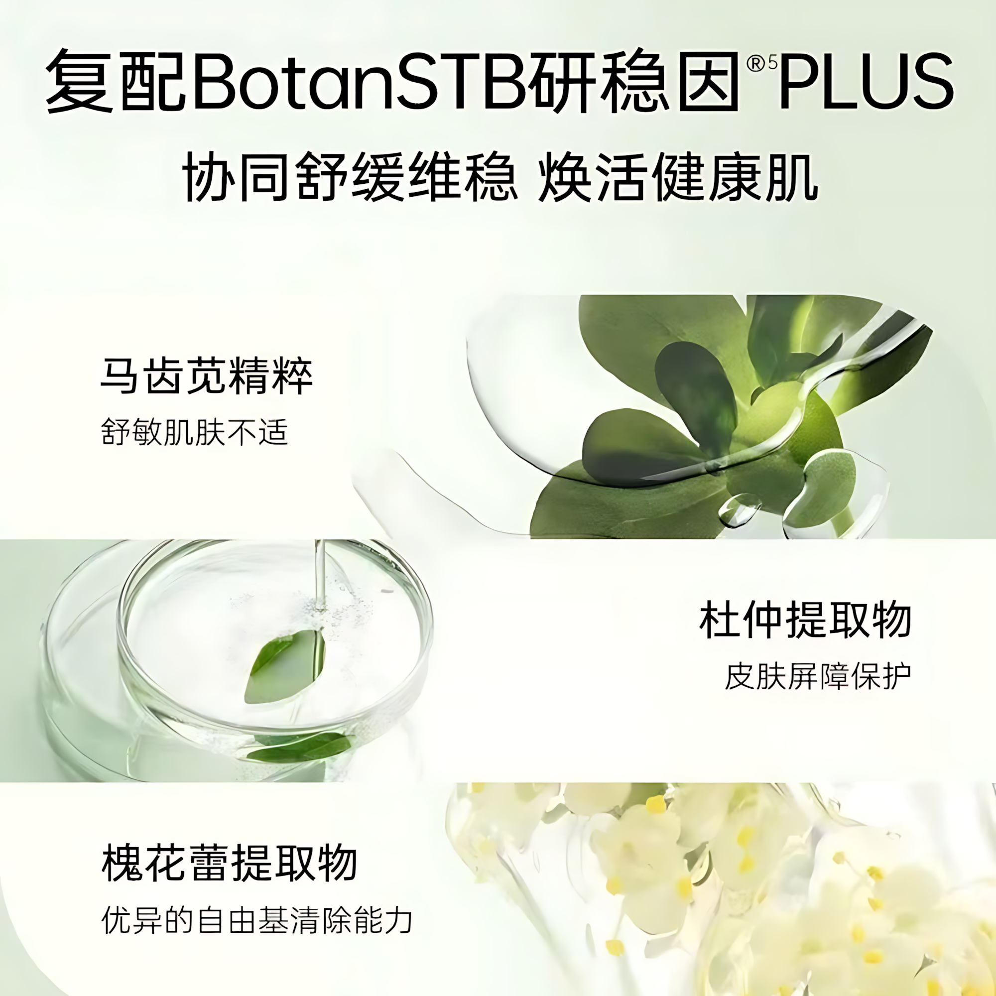 PURE&MILD Precious Treasure Moisturizing And Soothing Lotion Emulsion Cream Set 150ml/120g/50g 泊美鲜纯珍萃保湿舒缓水乳霜套装