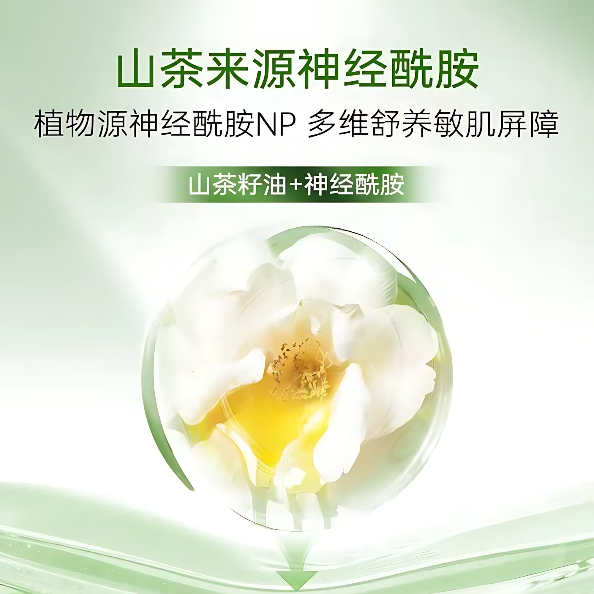 PURE&MILD Precious Treasure Moisturizing And Soothing Lotion Emulsion Cream Set 150ml/120g/50g 泊美鲜纯珍萃保湿舒缓水乳霜套装