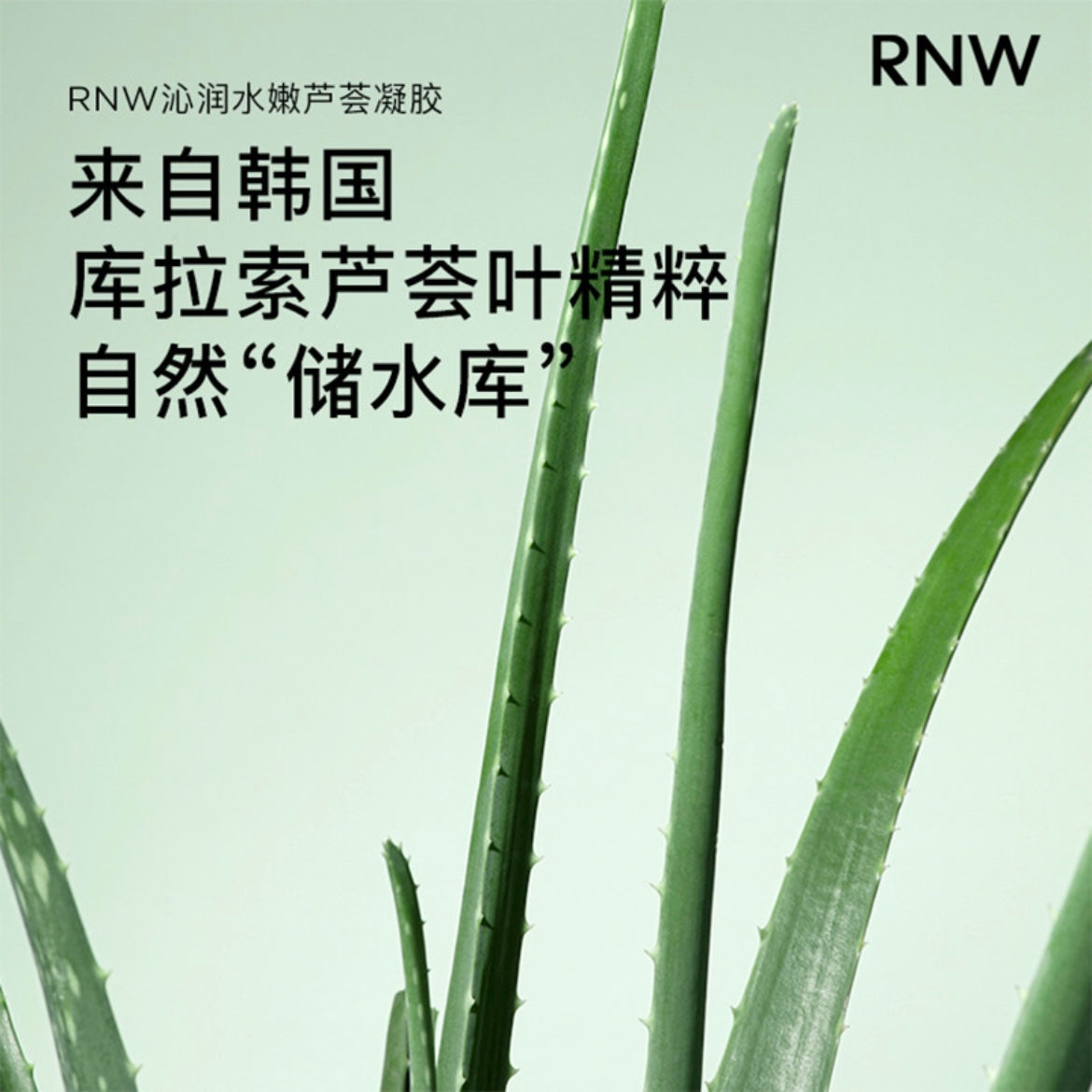 RNW Organic 93% Hydrating Anti-acne Moisturizing Aloe Vera Gel 250ML 如薇沁润水嫩芦荟胶