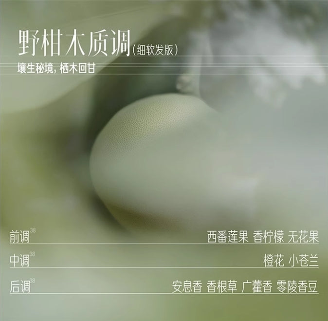 Tiktok/Douyin Hot SANSEN Oil-Control Volumizing Airy Shampoo 400ml【Tiktok抖音爆款】三生花控油蓬松空气感洗发露