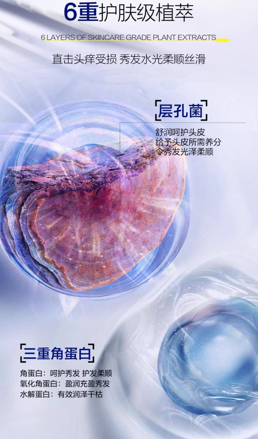 Tiktok/Douyin Hot Sanchine Fomes Officinalis Black Spruce Double Dandruff Removal Prevent Hair Breakage Shampoo 500ml【Tiktok抖音爆款】三精制药层孔菌黑云杉双仓去屑防断发洗发乳