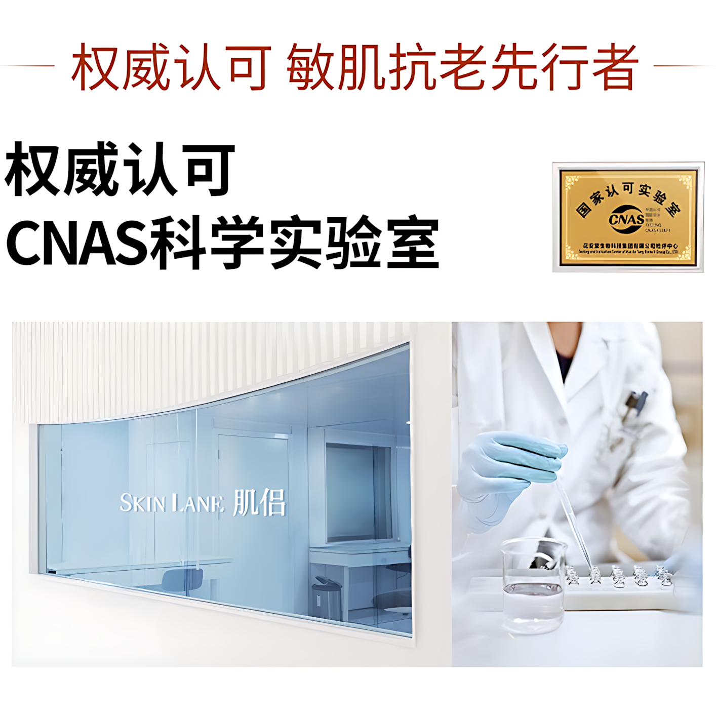 Skin Lane Sculptural Lifting Mask 36ml×5pcs/box 肌侣升塑智妍提拉面膜