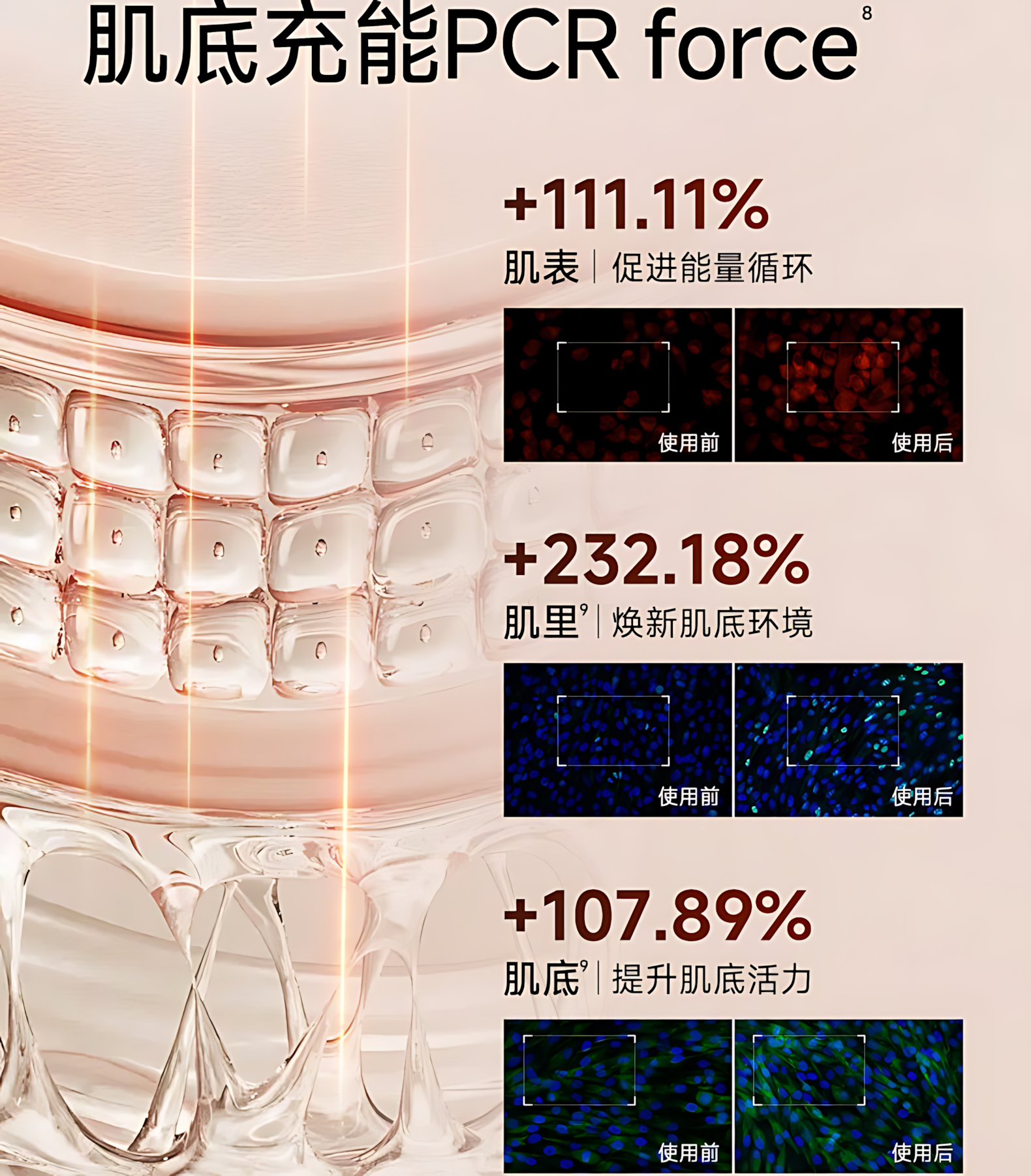 Skin Lane Sculptural Lifting Mask 36ml×5pcs/box 肌侣升塑智妍提拉面膜
